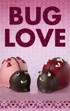Moonstruck Chocolates at New Oxford Coffee Company and Visitor's Center